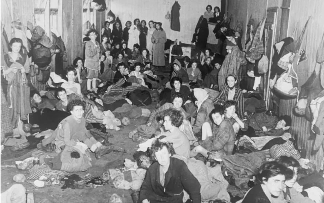 The revolt of the “Gypsy families camp”: episode 2/9 “The world as it really is”